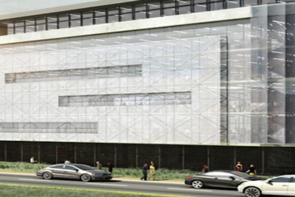 Black Pepper Properties
