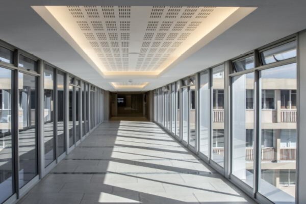 Black Pepper Properties