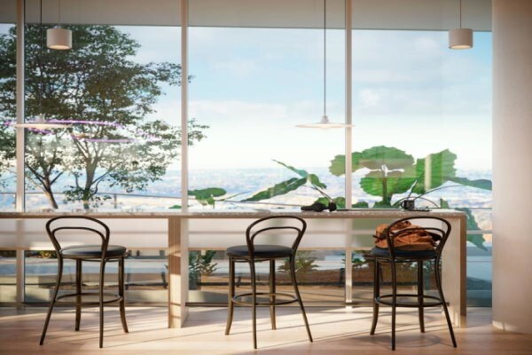 Black Pepper Properties