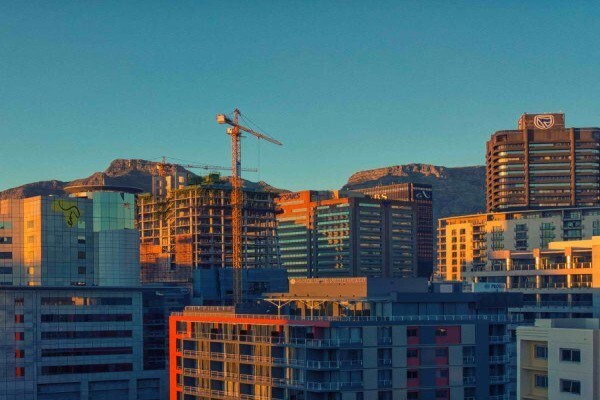Black Pepper Properties
