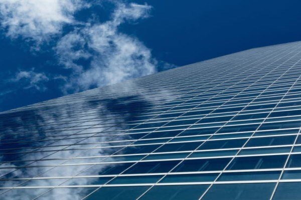 Black Pepper Properties