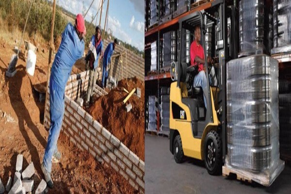 Dynamic Labour Solutions