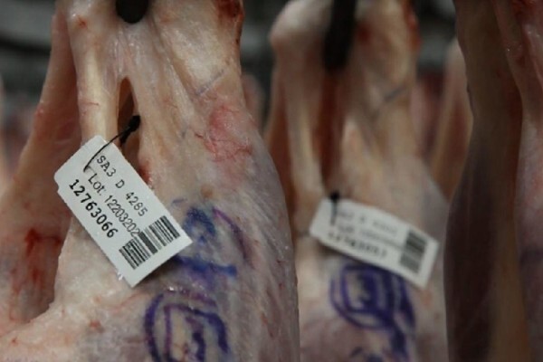 Cavalier Abattoir