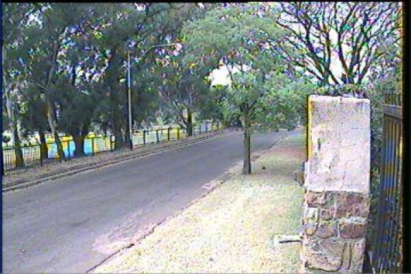 Trolley Scan (Pty