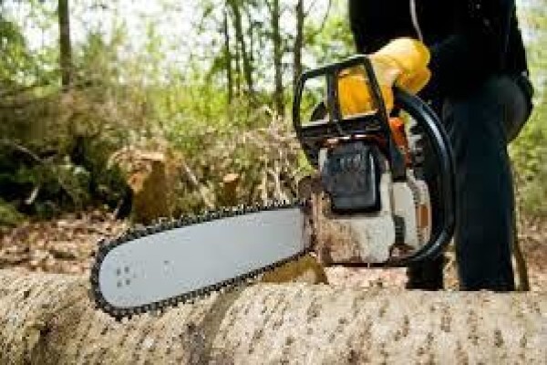 Peters Tree Felling & Instant Lawn Services