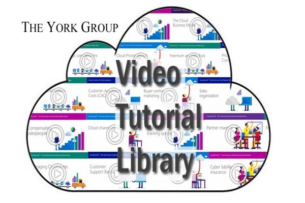 The York Group