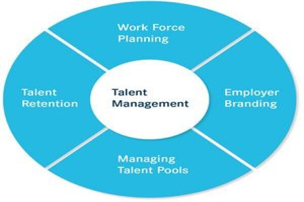 Kanimambo Management Solutions