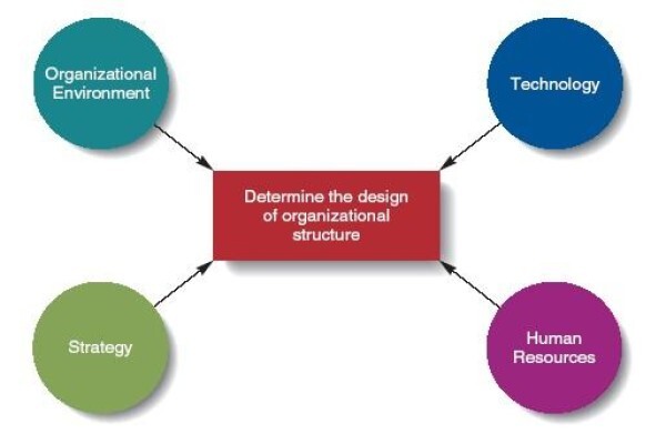 Kanimambo Management Solutions