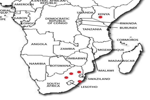Luphahla Holdings
