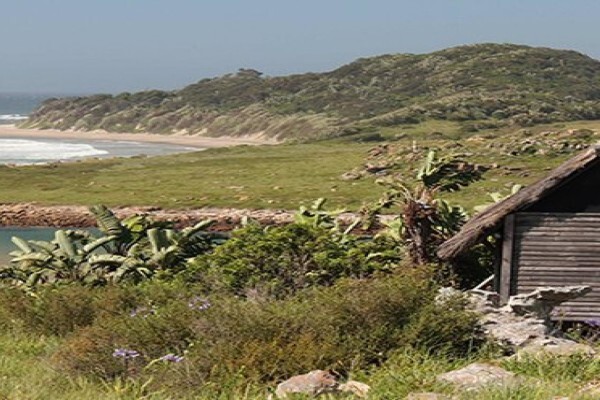 Wild Coast