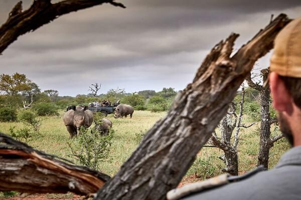 Motswari Wildlife Services (Pty) Ltd