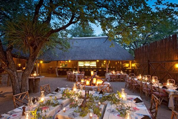 Motswari Wildlife Services (Pty) Ltd