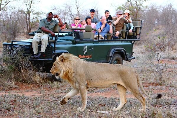 Motswari Wildlife Services (Pty) Ltd
