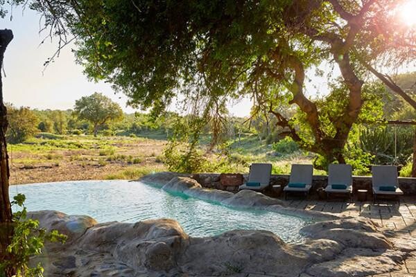 Motswari Wildlife Services (Pty) Ltd