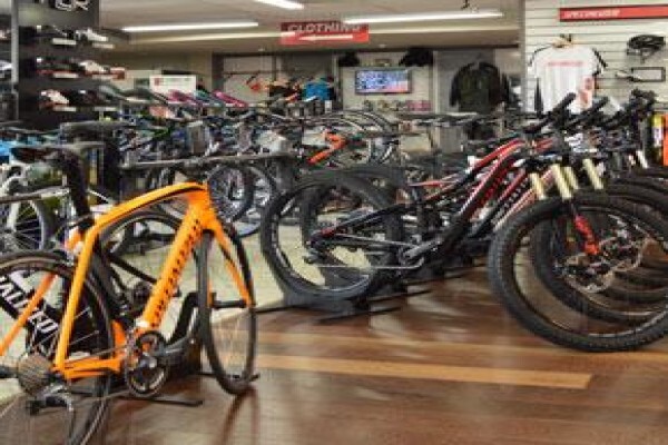 Action Cycles
