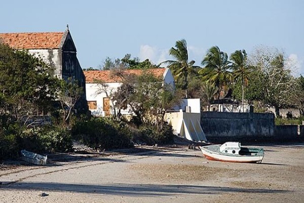 Oceans Islands And Safaris