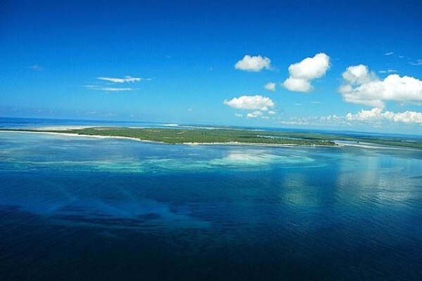 Oceans Islands And Safaris