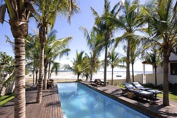 Oceans Islands And Safaris
