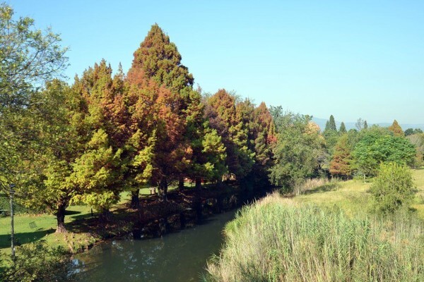 Destiny Country Lodge