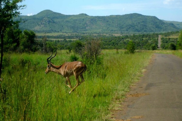 Destiny Country Lodge