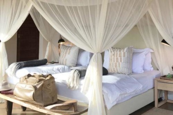 Nambiti Plains Private Game Lodge