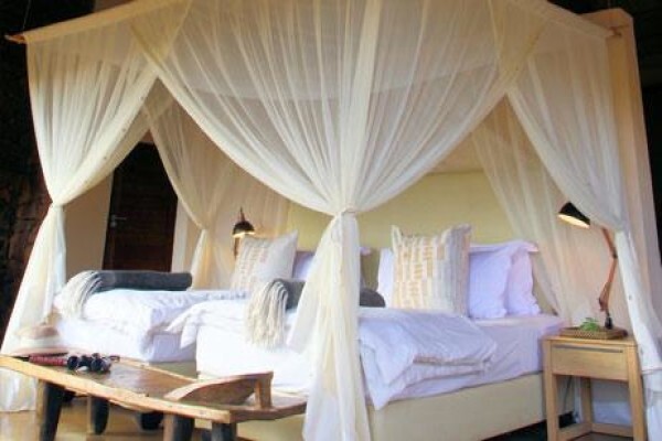 Nambiti Plains Private Game Lodge