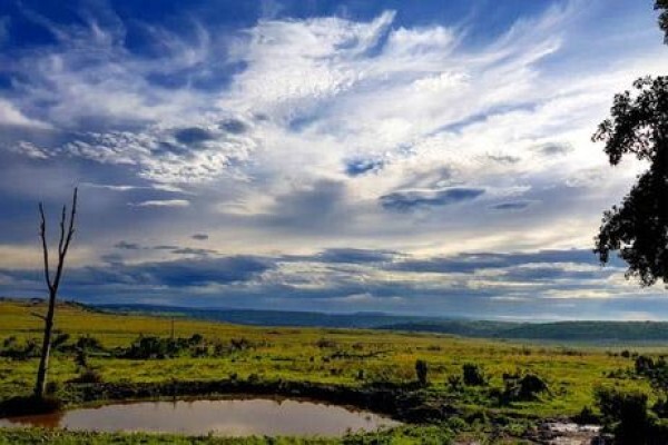 Nambiti Plains Private Game Lodge