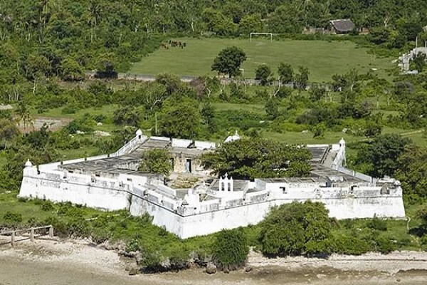 Oceans Islands And Safaris