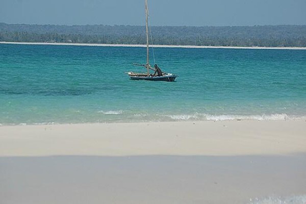 Oceans Islands And Safaris
