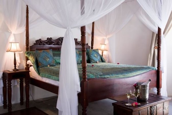 Oceans Islands And Safaris