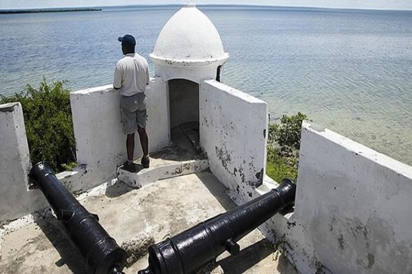Oceans Islands And Safaris