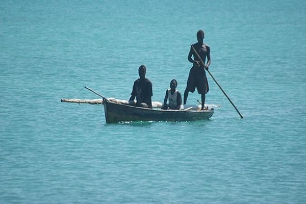 Oceans Islands And Safaris