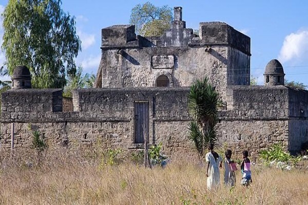 Oceans Islands And Safaris