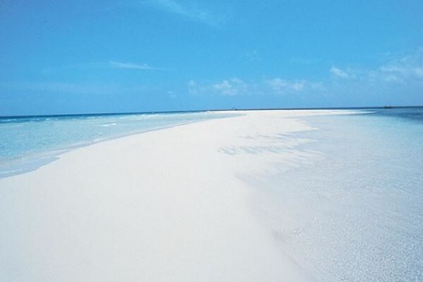 Oceans Islands And Safaris