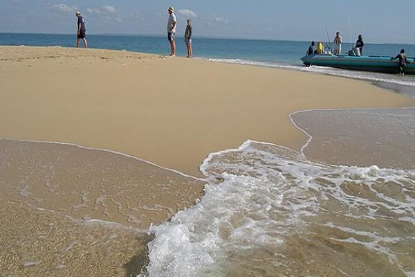 Oceans Islands And Safaris