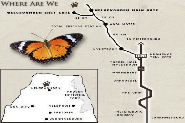 Serurubele Lodge
