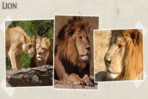 Serurubele Lodge