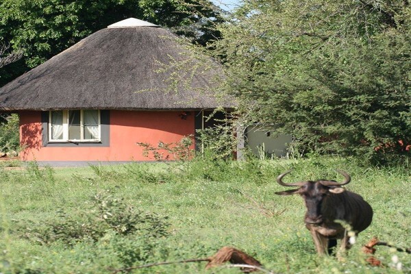 Mohlabetsi