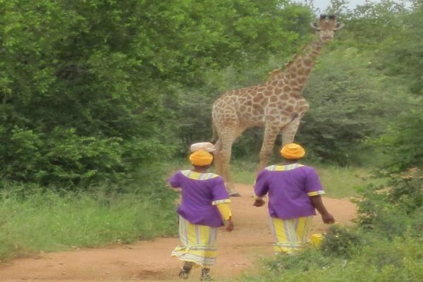 Mohlabetsi