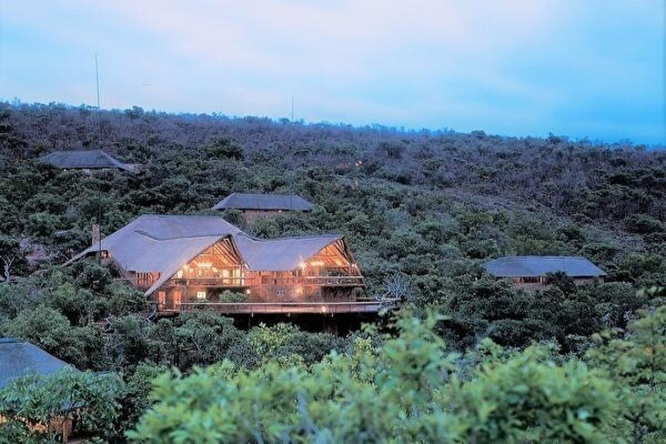 Sediba