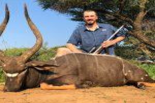 Global Safaris
