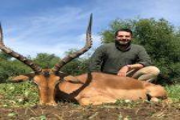 Global Safaris