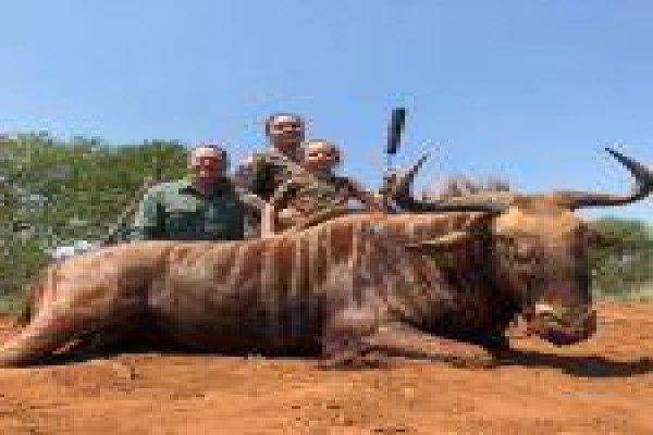 Global Safaris