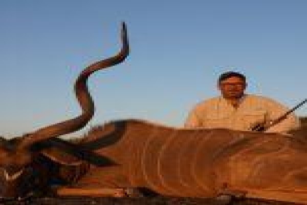 Global Safaris