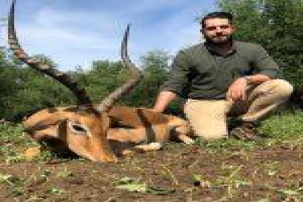 Global Safaris