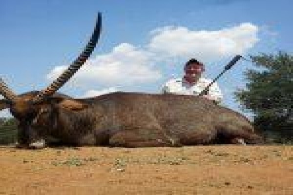 Global Safaris
