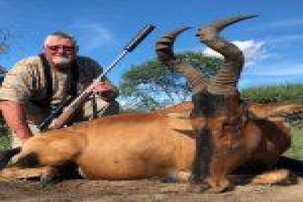 Global Safaris