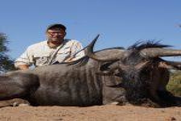 Global Safaris