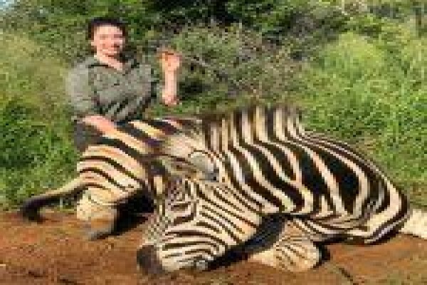 Global Safaris