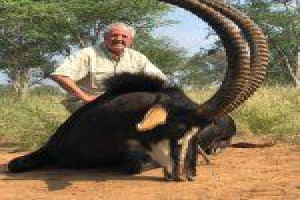 Global Safaris